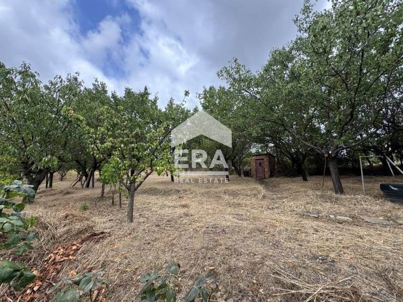 Продава се Парцел в с. Калипетрово, Област Силистра - 1200 кв.м за 9 €/кв.м - Снимка #1