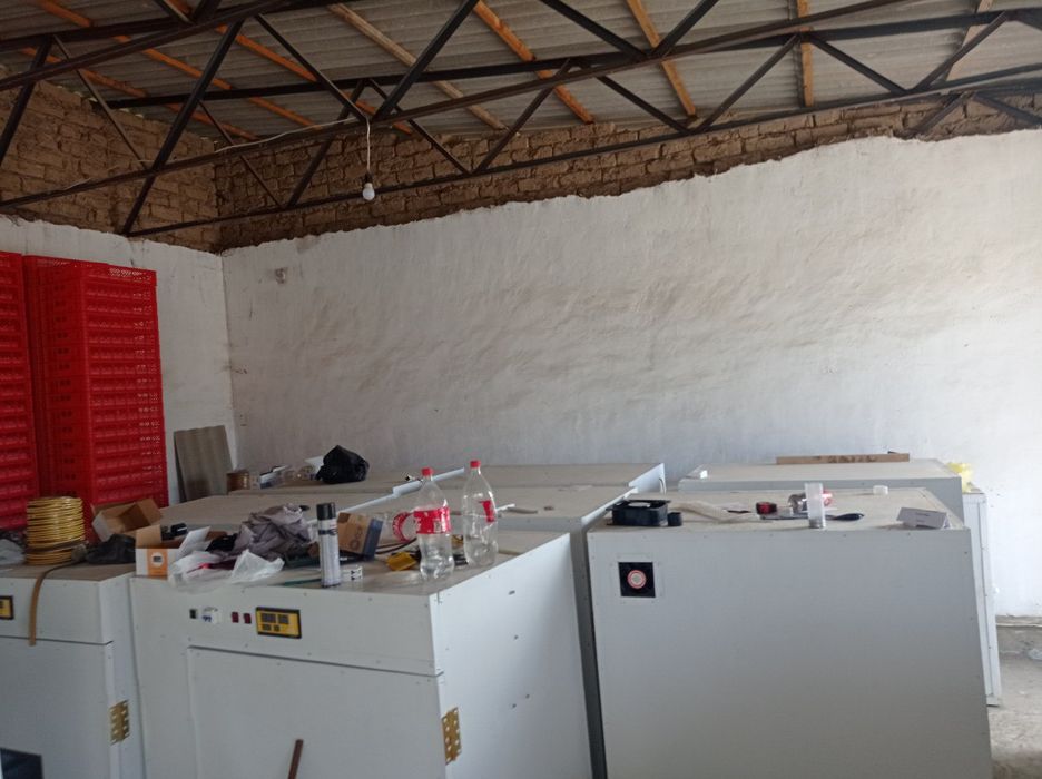 Inkubator sotiladi 264 talikdan 1056 talikgacha tayorlab beramiz