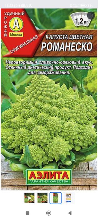 Капуста цветная РОМАНЕСКО. 0