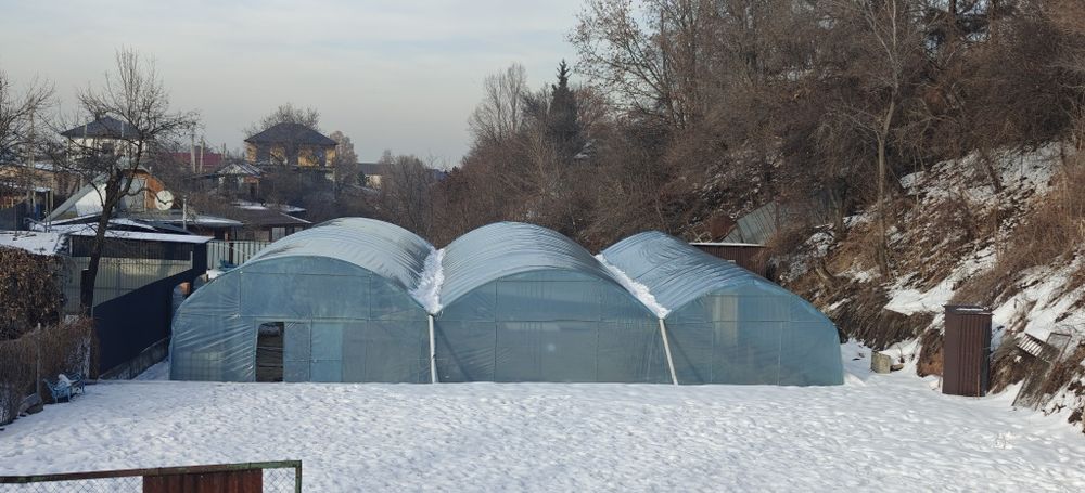 Сдается в аренду грибная ферма.