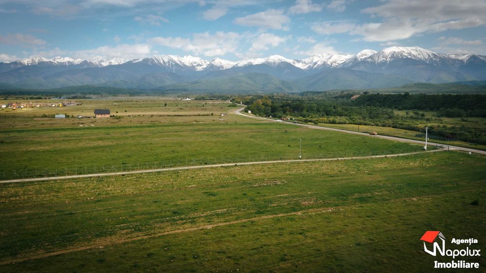 Teren superb zona Valea Avrigului