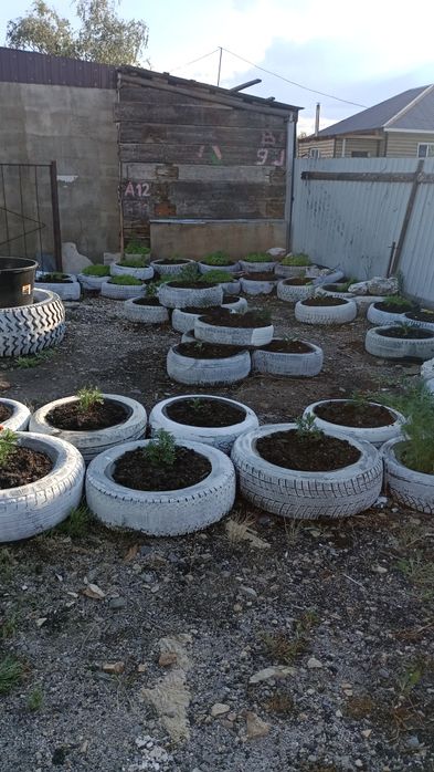 Продам дом(жилую дачу )по кр.трассе