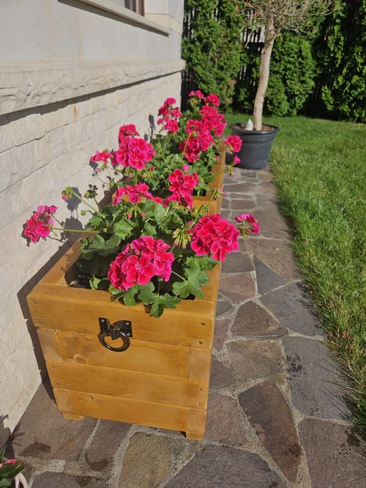 Jardiniere lemn diverse dimensiuni