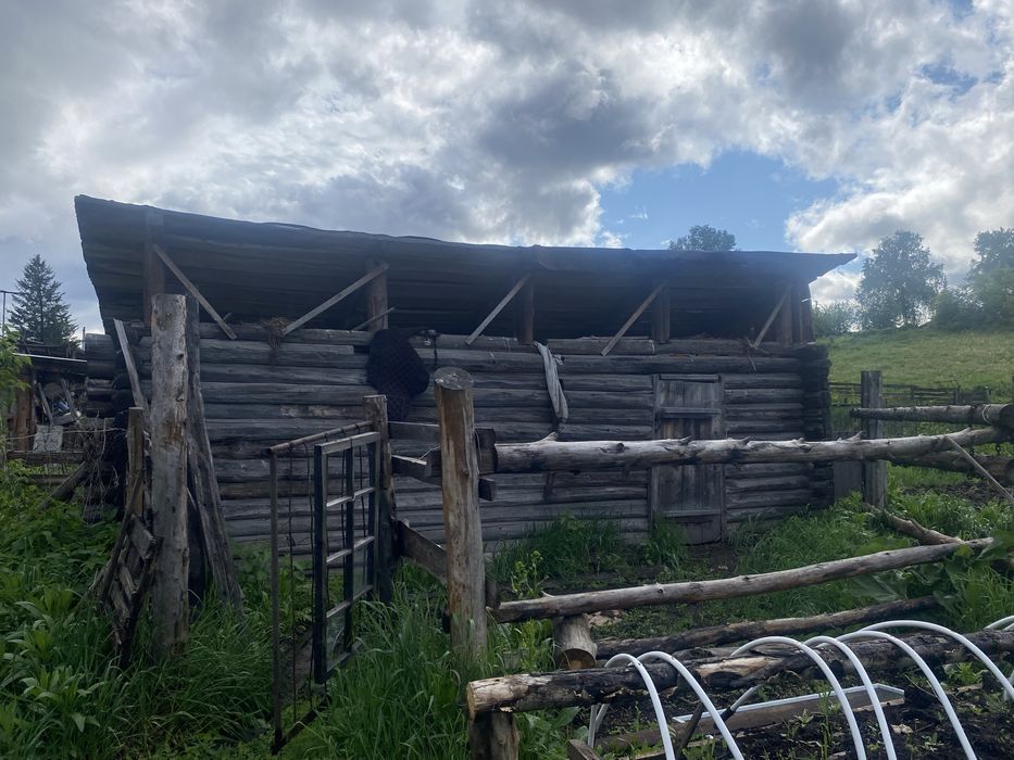 Продам дом в Таловке г.Риддер