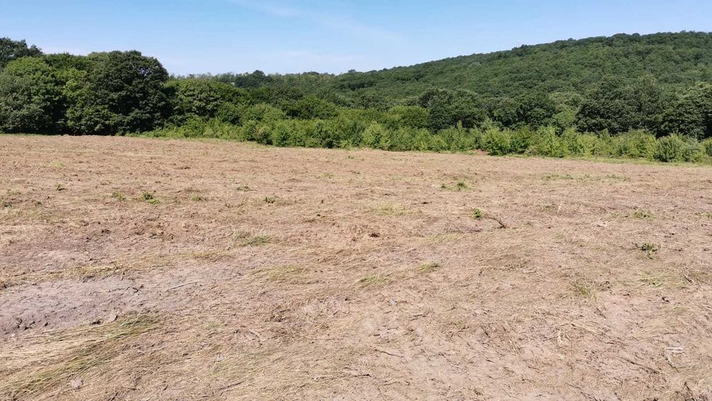 Продава се Парцел в с. Звездица, Област Варна - 500 кв.м за 77 €/кв.м - Снимка #4