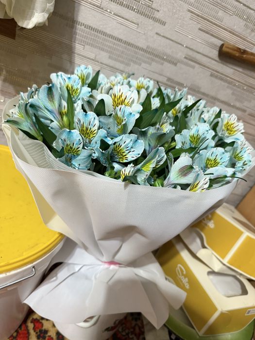 Свежие цветы свежие