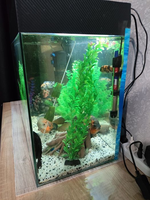 Аквариум на 100л + подарок