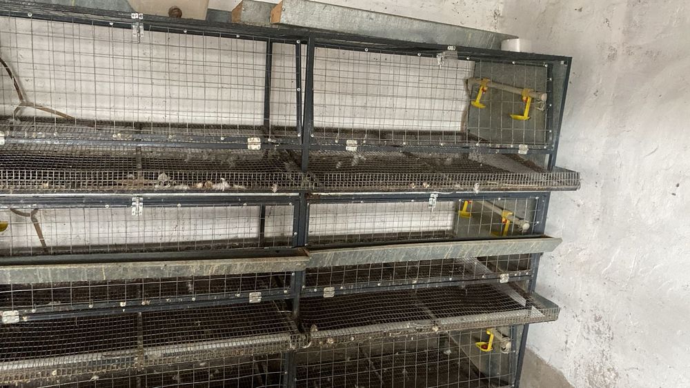 Клетка для несушек