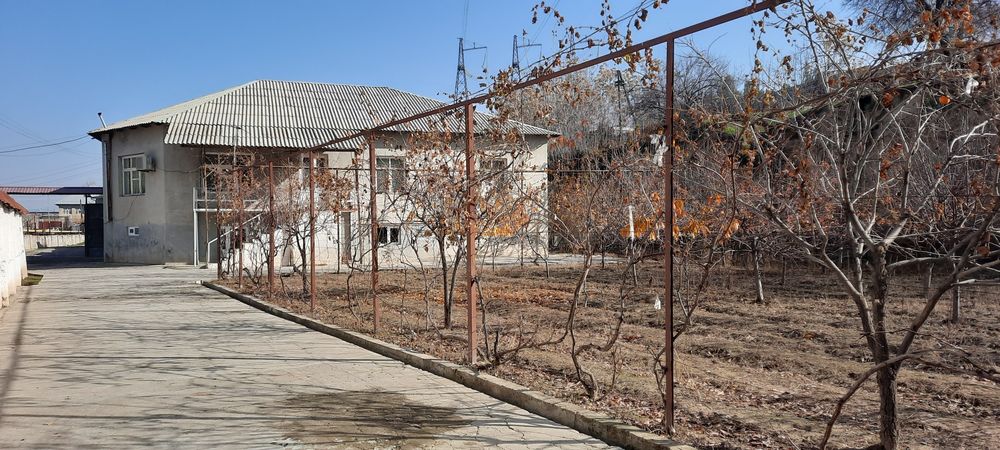 Ховли 2 этаж кота суви бойида