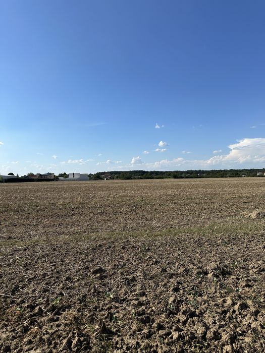 Teren intravilan 9800 mp -Ganeasa ,jud Ilfov