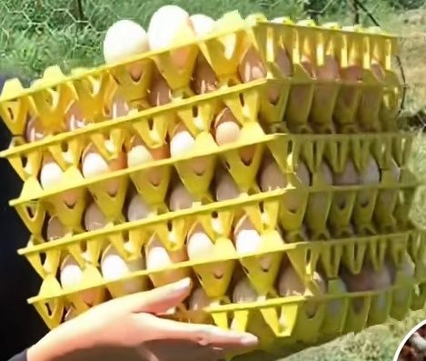 Пластмасова кора за 30 броя яйца