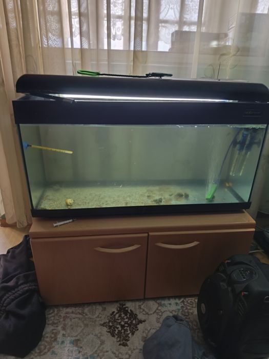 acvariu cumpărat de la PetCompaniL80l30h40cum se vede in poză cu tot c
