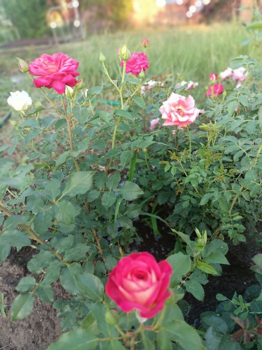 Продам дачу в районе Ахмирово