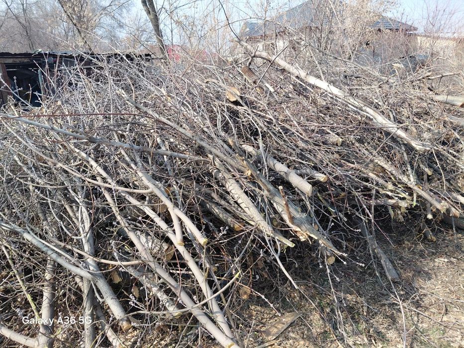 Отдам дрова бесплатно