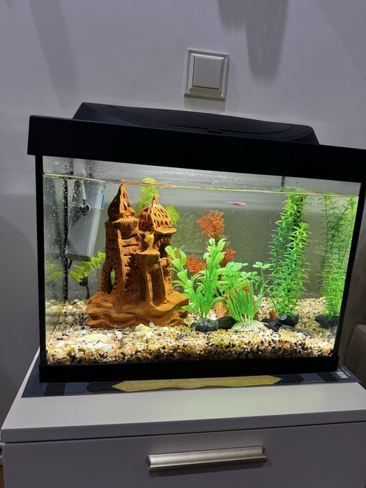 Аквариум tetra 30 литров