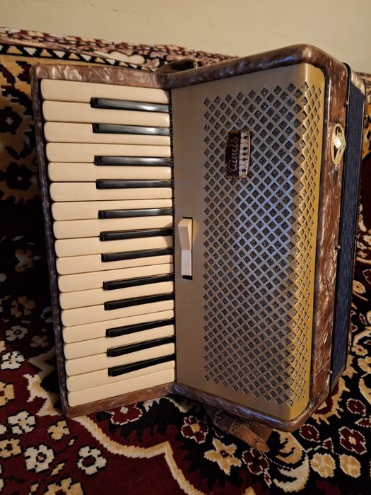 Acordeon Timiș Select