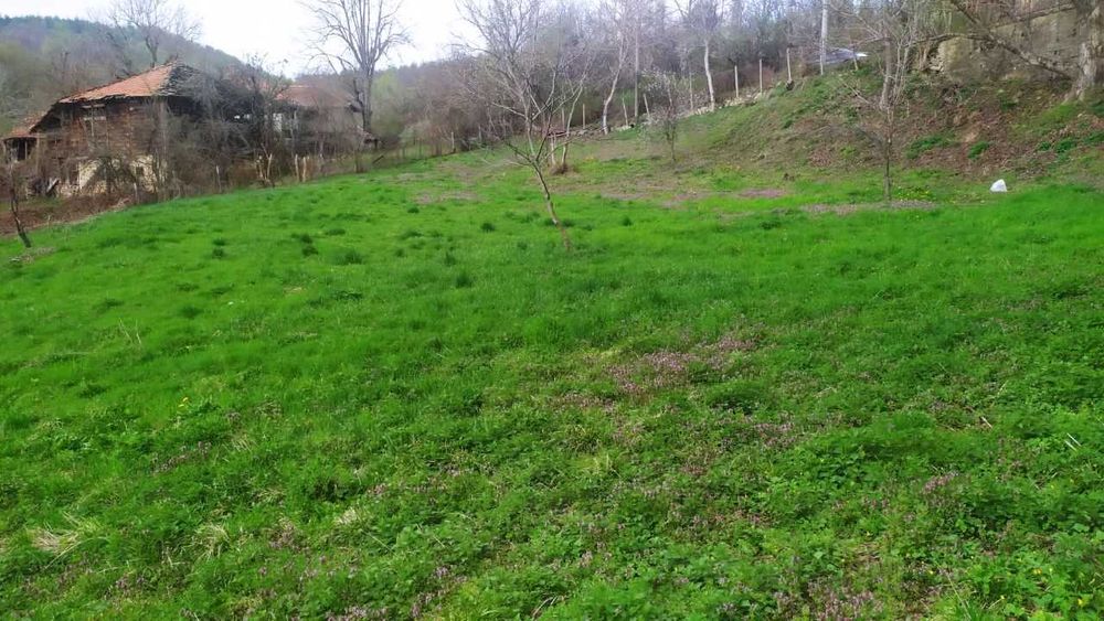 Продава се Парцел в с. Войнежа, Област Велико Търново - 2167 кв.м за 7 €/кв.м - Снимка #9
