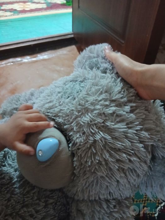 Teddy ayiqcha sotaman