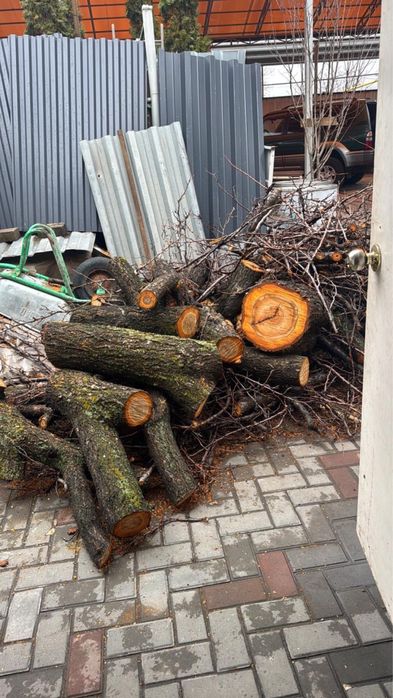 Дрова Абрикос) отын бір газель болады