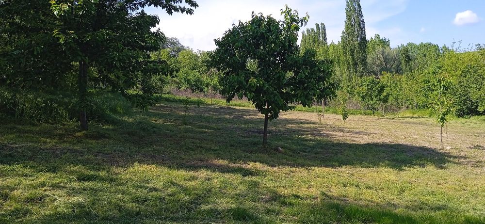 Продава се Къща в Видин, Акджамия - 56 кв.м за 1822 €/кв.м - Снимка #18