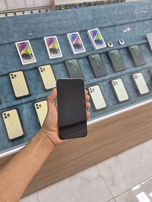 iPhone 13 pro max