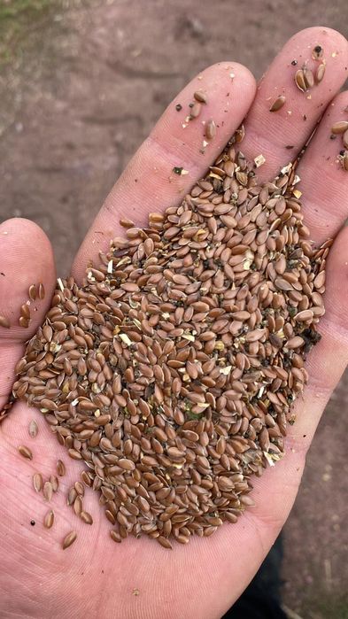 Зерноотходы и т.д. и т.п!!!