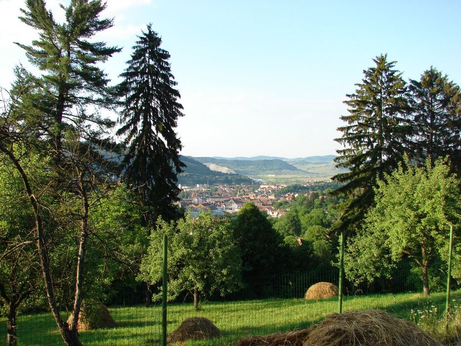 Proprietate unică in Sighișoara  33000mp + casa  de 280mp