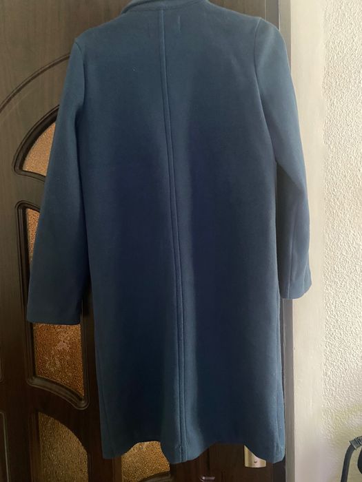 Pardesiu albastru