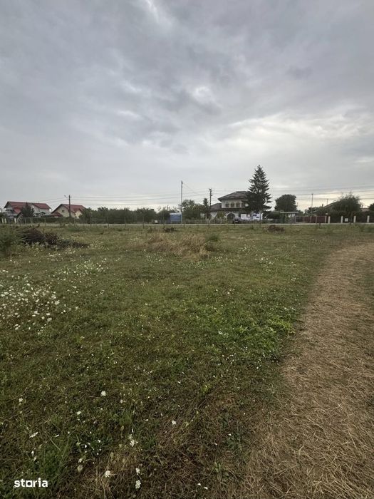 Loturi de teren, in rate