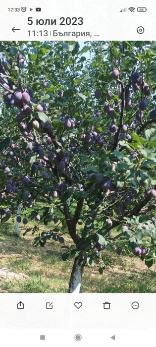 Продава се Къща в с. Асеновци, Област Плевен - 60 кв.м за 192 €/кв.м - Снимка #10