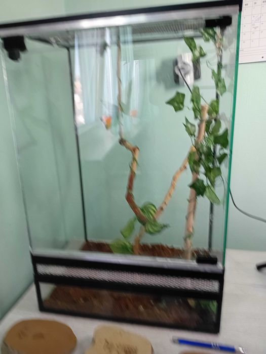 Терариум терароум терариум