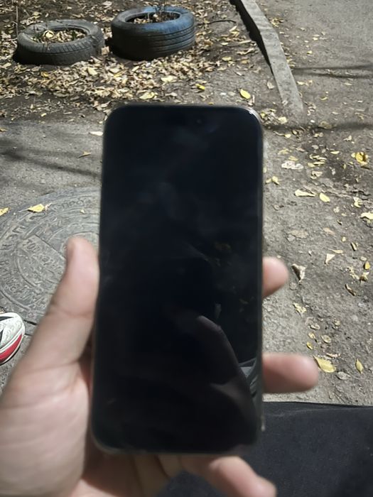 iPhone 16 Pro 256 ГБ
