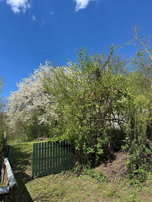 Casa Batraneasca + teren 1300mp Valenii de munte ( Comuna Teisani, sat Olteni, Valea Stâlpului)