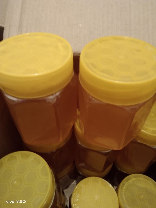 Доброцен Карокол горное