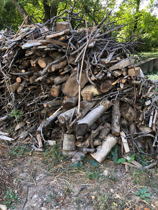 Продавам-подарявам Дърва за огрев и разрешително за превозване