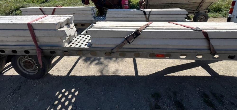 Stalpi gard vie 10/10 si 10/9