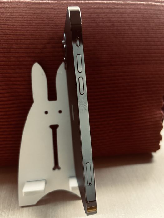 iPhone 12 Pro, 256GB, Graphite