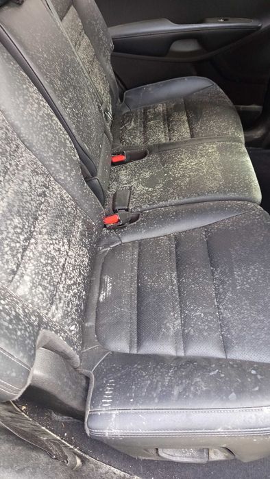 Пране на автомобили зимно Премахване на Петна изсушаване цена 50  евро