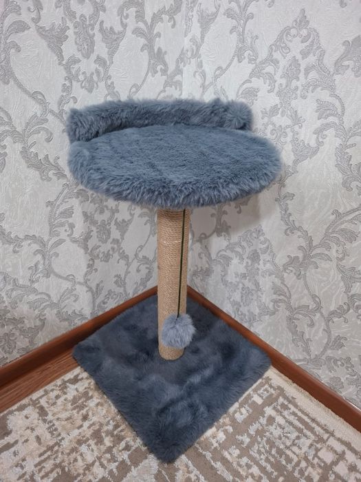 Продаю котенка сиамский