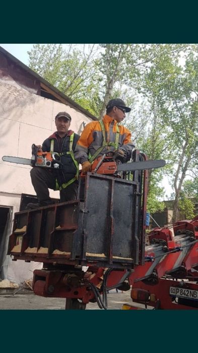 Дарахт кесиш хизмати aбрезка дерево бензaпила услуга.