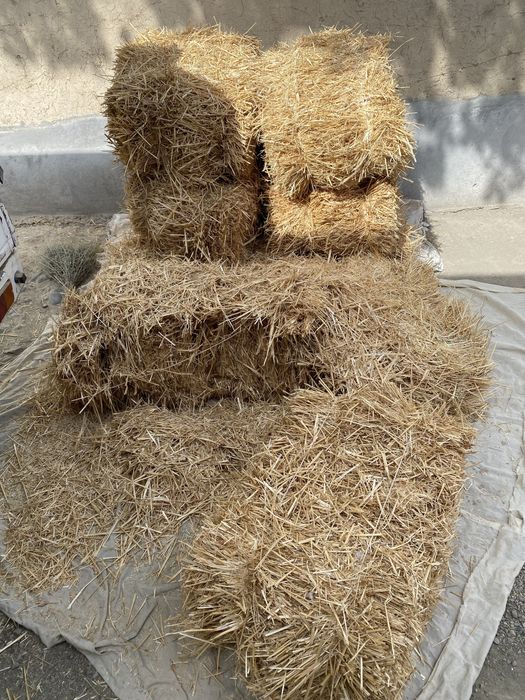 Somon press sotiladi  25.000. Sumdan Samarqand