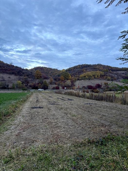 Teren intravilan