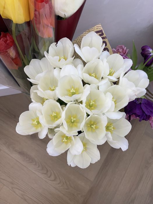 цветочки тюльпан