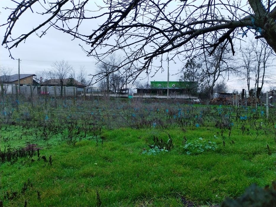 Vând Casa bătrânesca