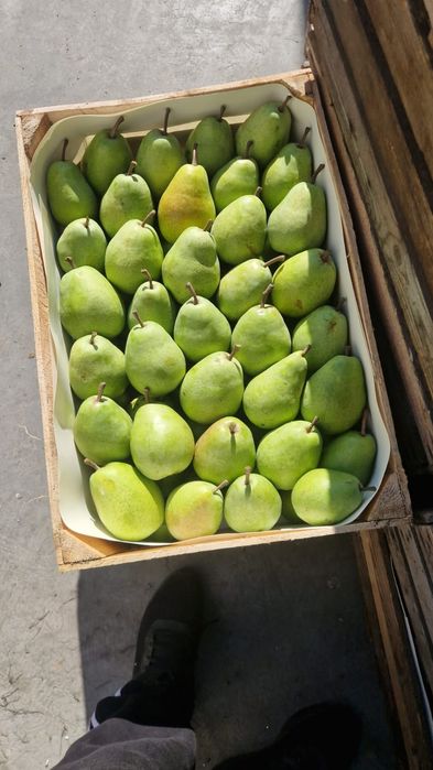 Mere și pere de vânzare