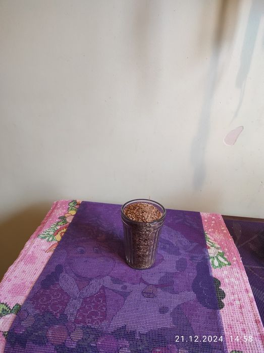 Укроп сушенный дачный