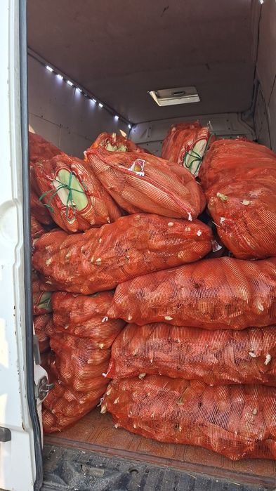 Кукуруз заморозка