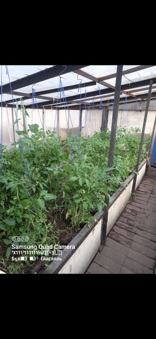 Продается большой дом