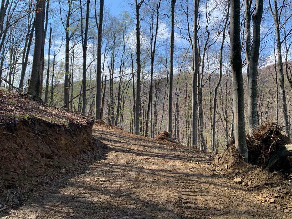 Услуги с булдозер