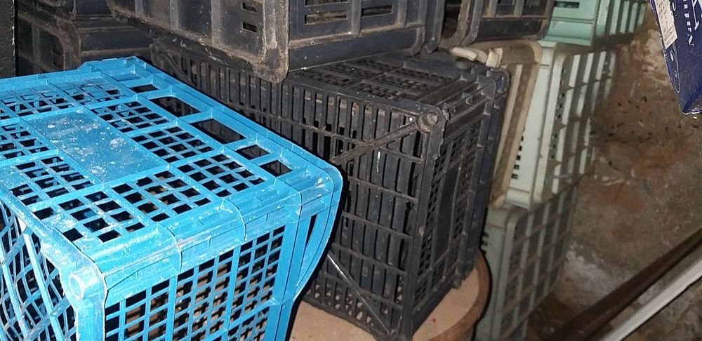 Касетки за храна плодове и зеленчуци